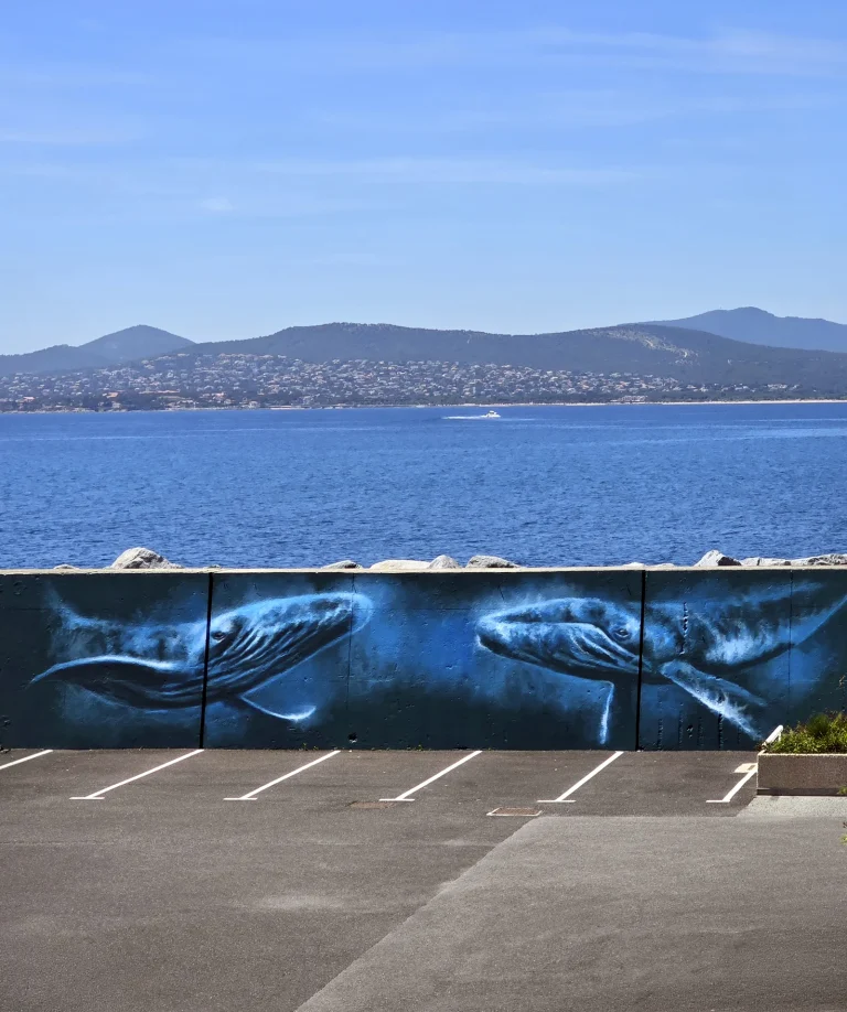 Sandrot oeuvre baleines Saint-Raphaël Port Santa Lucia 2026 2